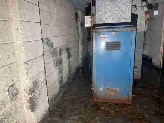 Testing again(31).jpg